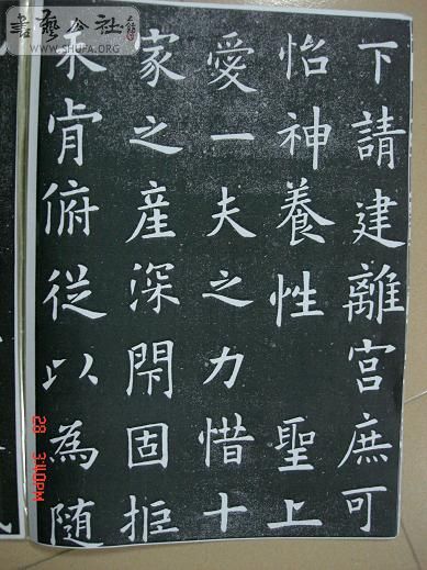 DSC06242.JPG