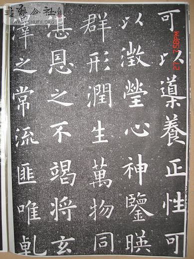 DSC06184.JPG