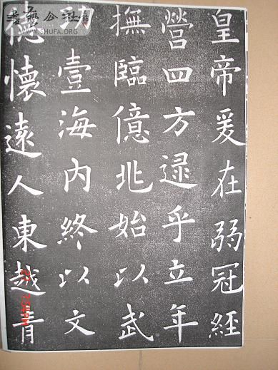 DSC06172.JPG