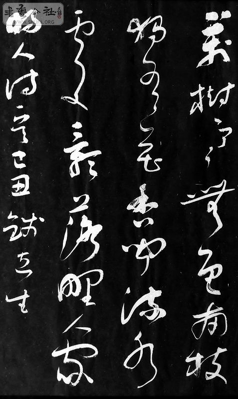 DSCF6191.jpg