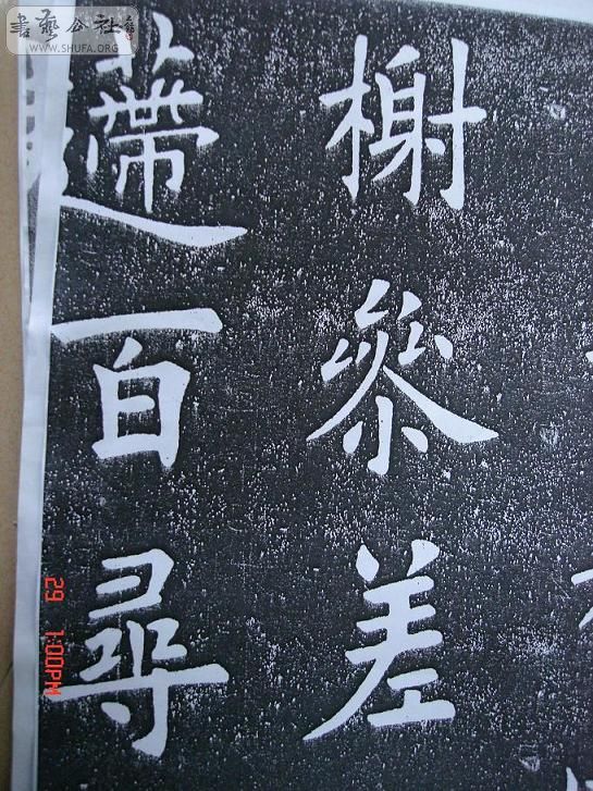 DSC06254.JPG
