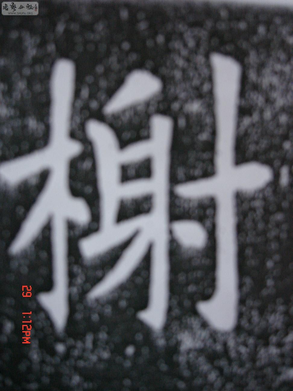 DSC06297.JPG