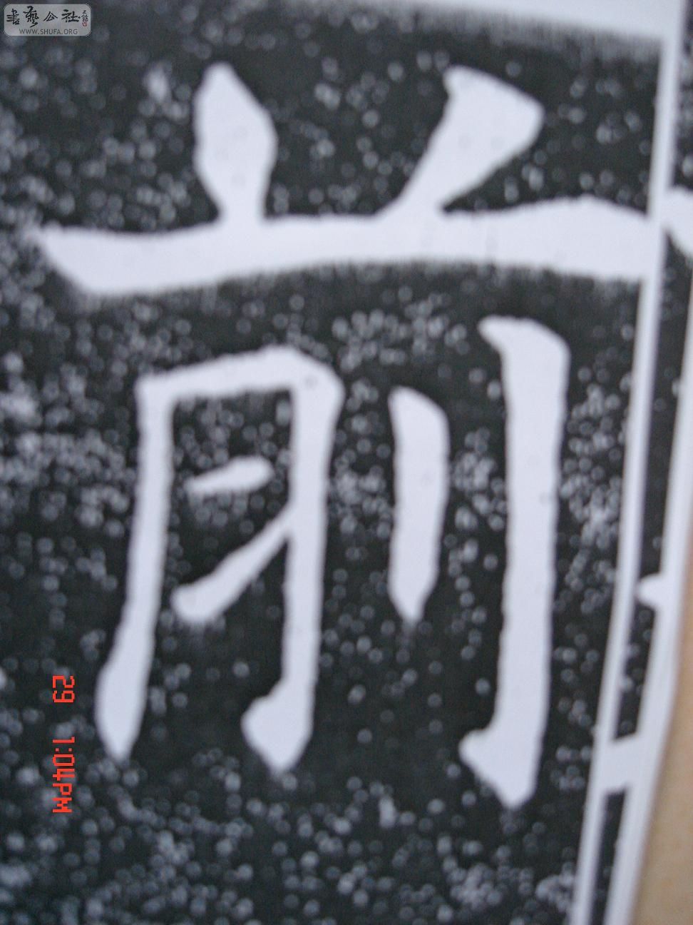 DSC06267.JPG