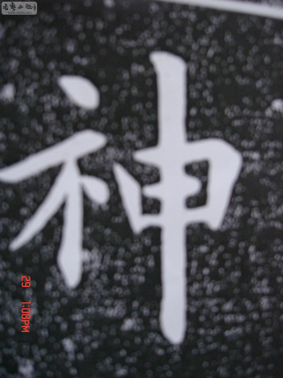 DSC06282.JPG