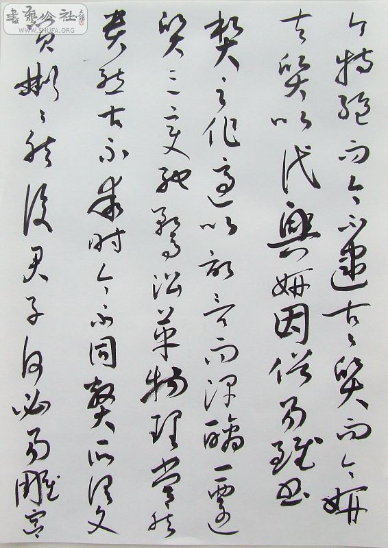 DSCF6254.JPG