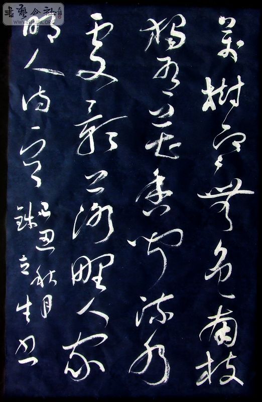 DSCF6257.JPG