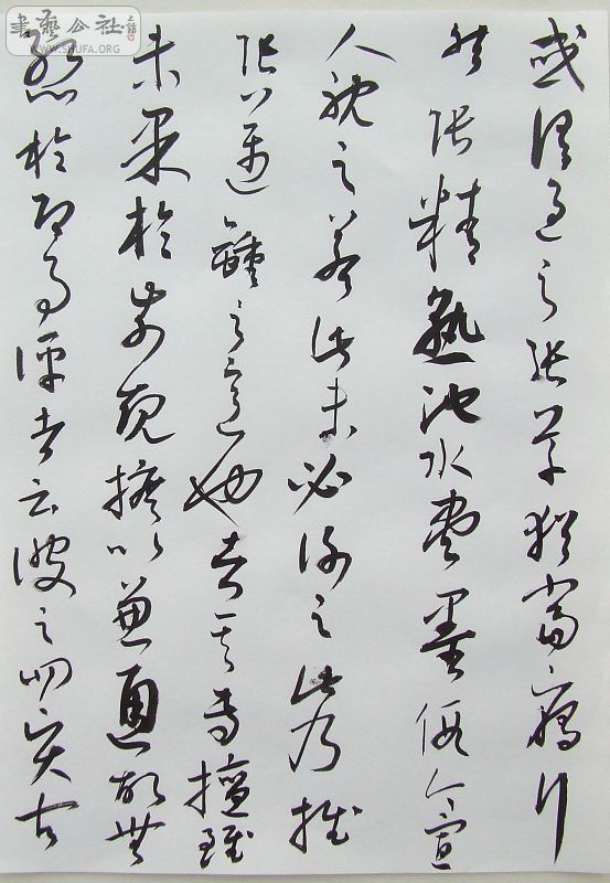 DSCF6255.JPG