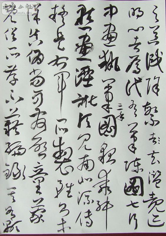 DSCF6429.JPG