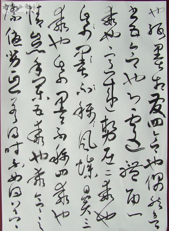 DSCF6427.JPG