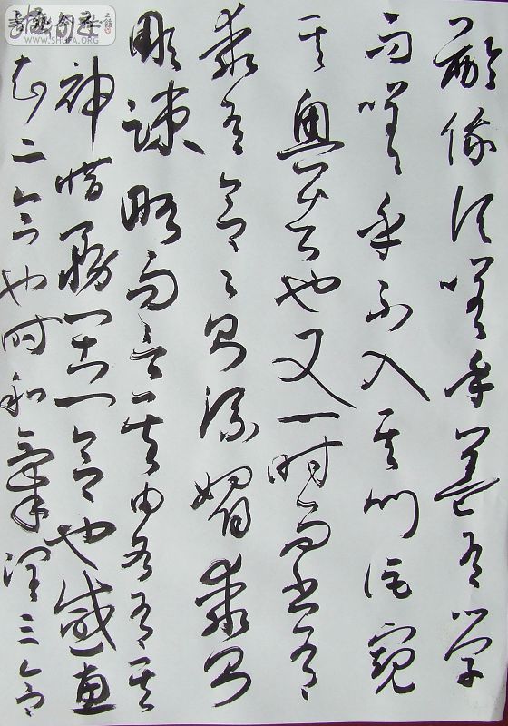 DSCF6426.JPG