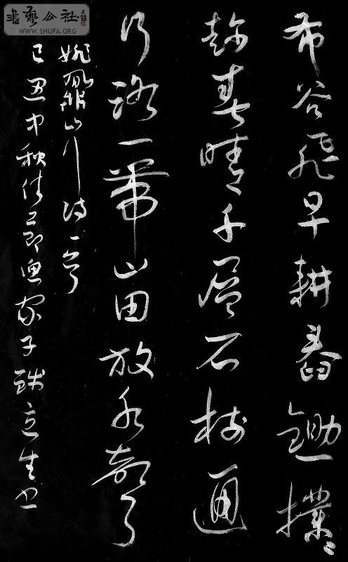 DSCF6445.JPG