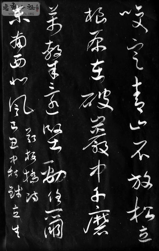 DSCF6437.JPG