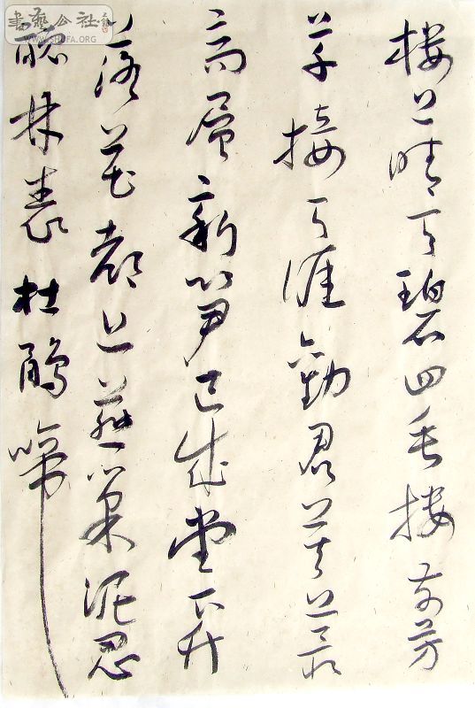 DSCF6475.JPG