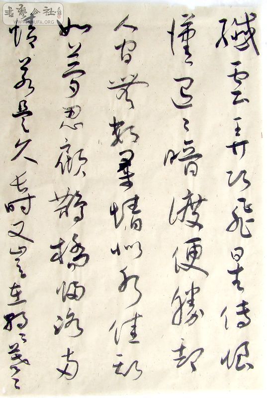 DSCF6468.JPG
