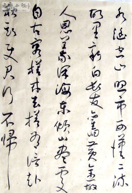 DSCF6469.JPG