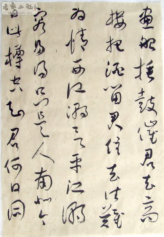 DSCF6464.JPG
