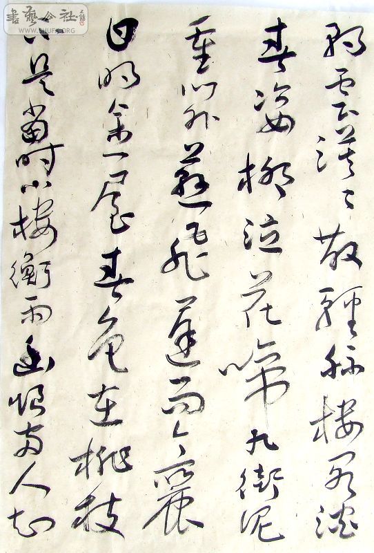 DSCF6473.JPG