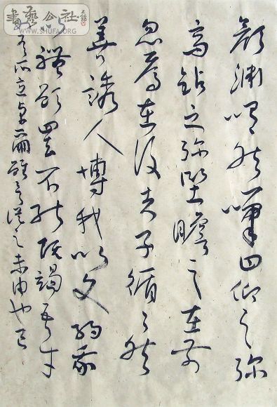 DSCF6543.JPG