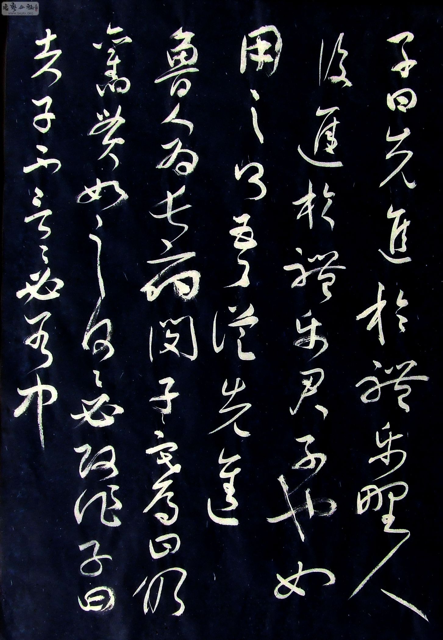 DSCF6550.JPG