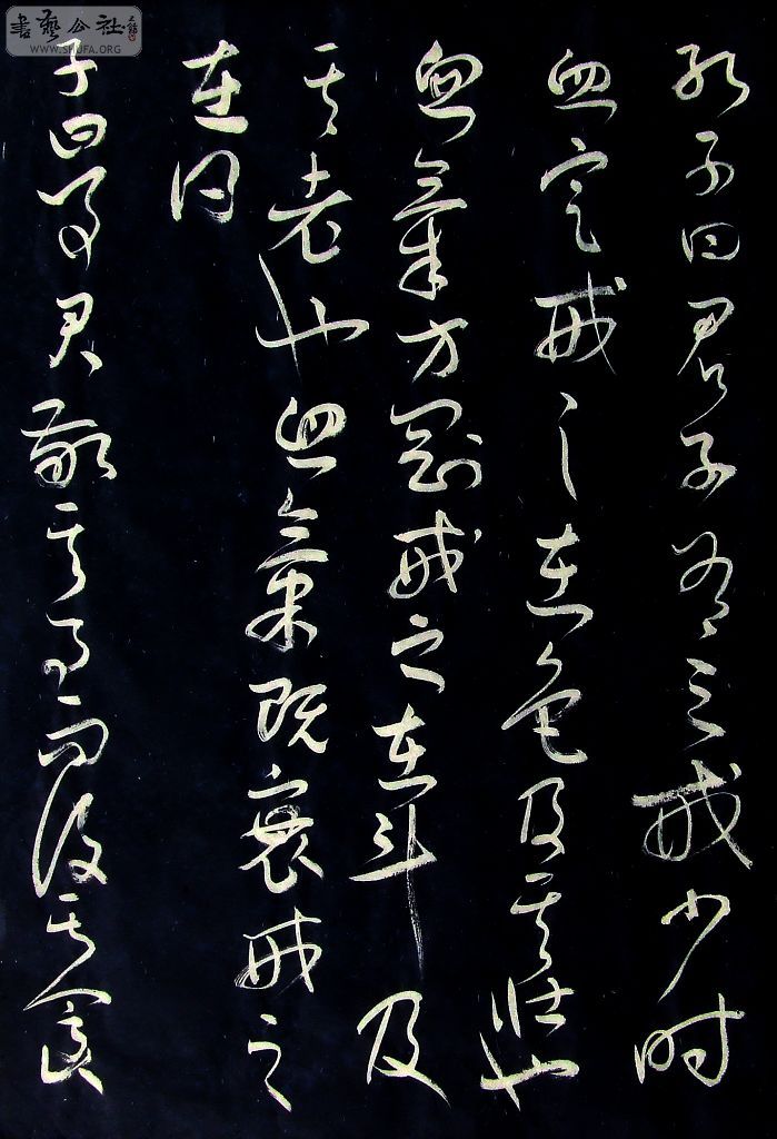 DSCF6546.JPG