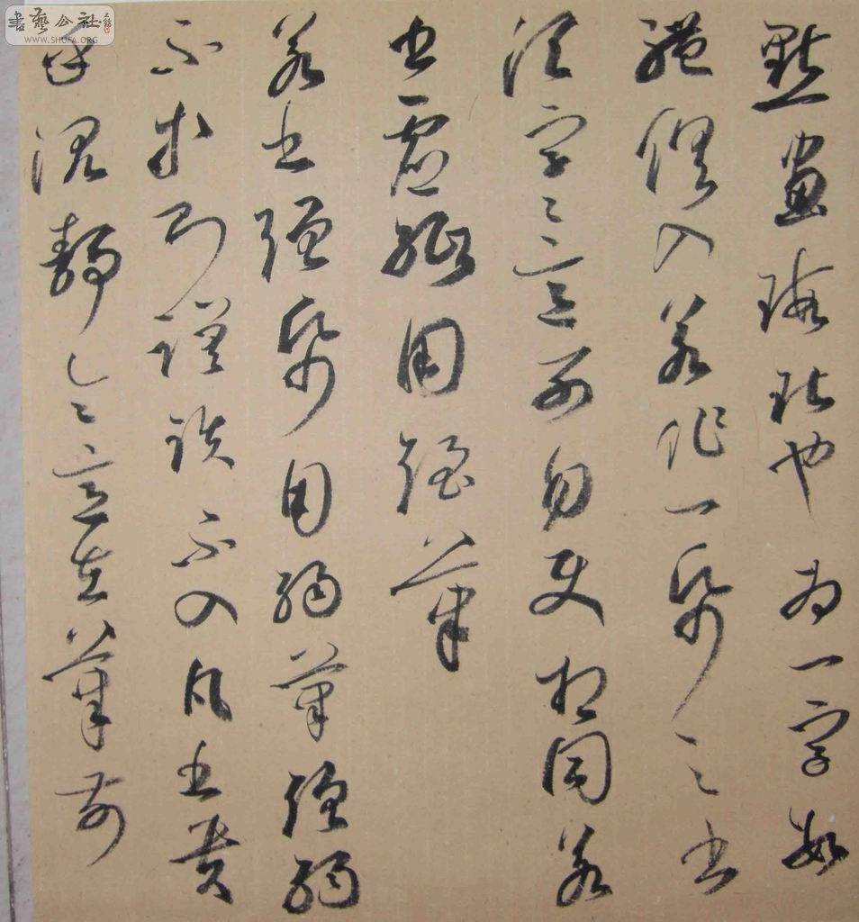 С SDC10781.jpg
