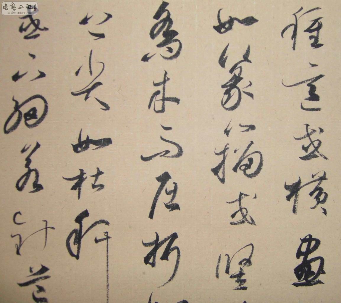 С SDC10789.jpg