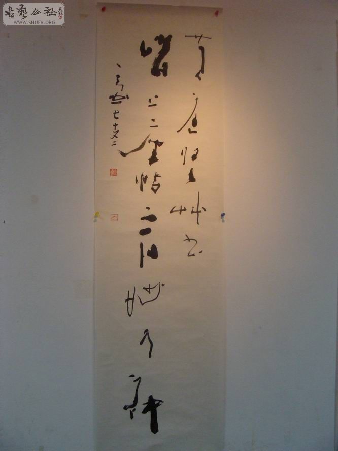 DSC05646.jpg