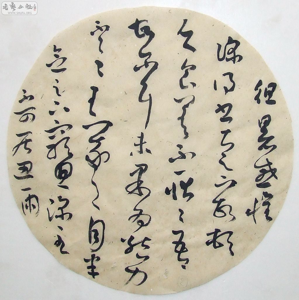 DSCF6786.JPG