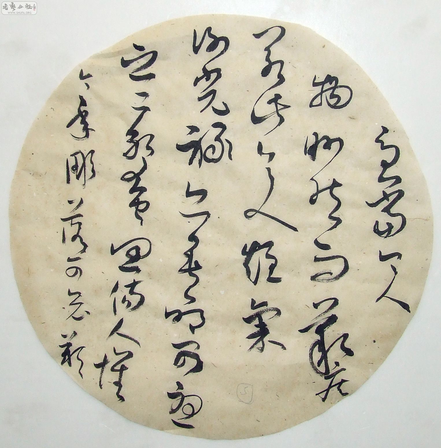 DSCF6785.JPG