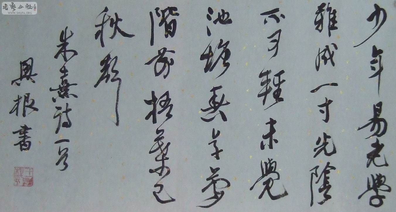 DSCF8092.JPG