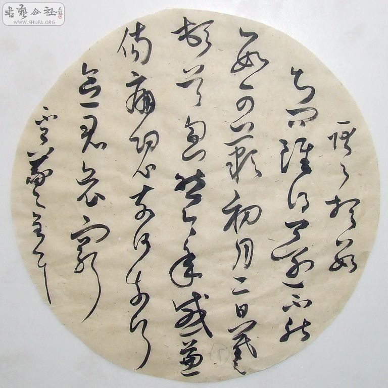 DSCF6790.JPG