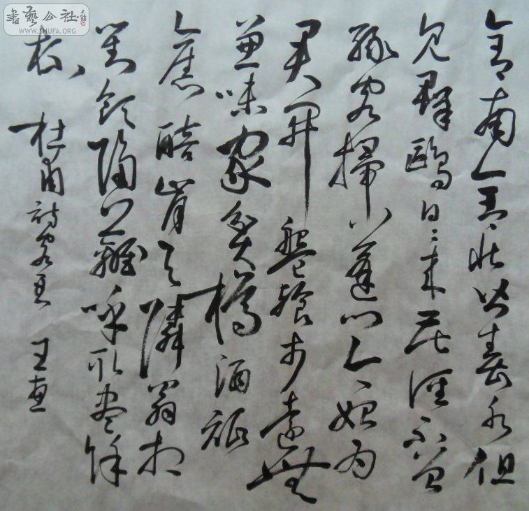 SDC11513.JPG