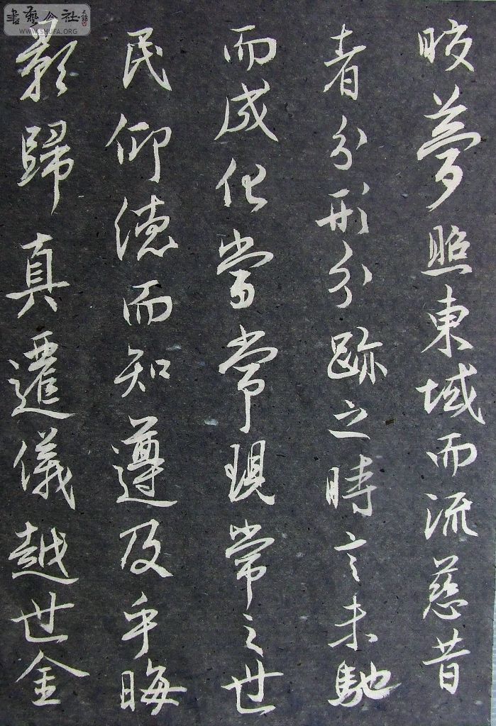 DSCF9040.JPG