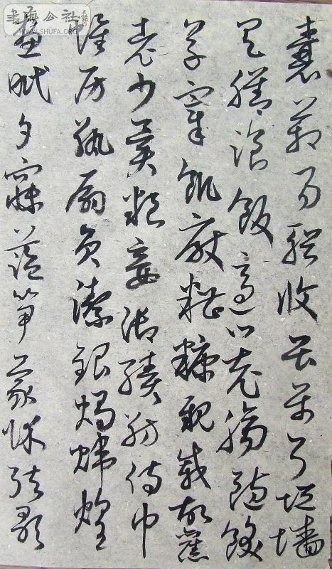 DSCF9102.JPG