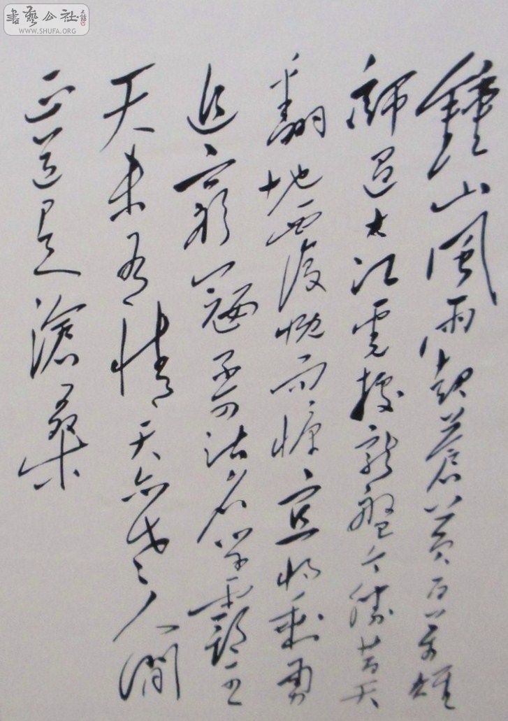 ëּ鷨 (5).JPG
