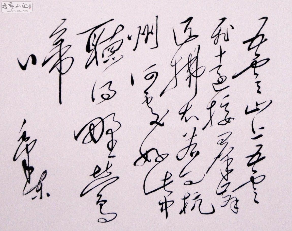 ëּ鷨 (10).JPG
