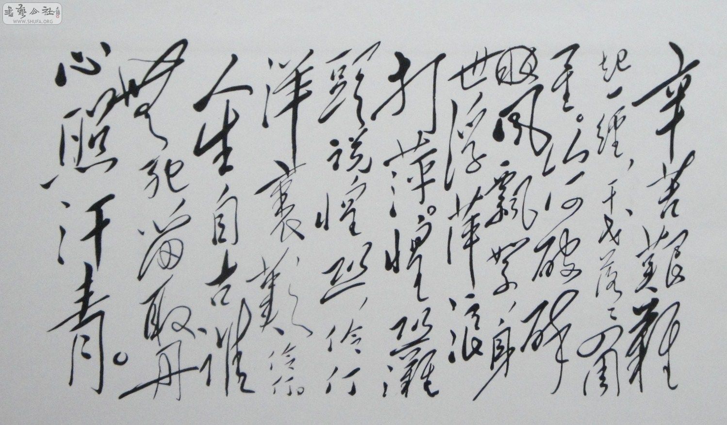 ëּ鷨 (42).JPG