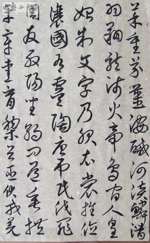 DSCF9107.JPG