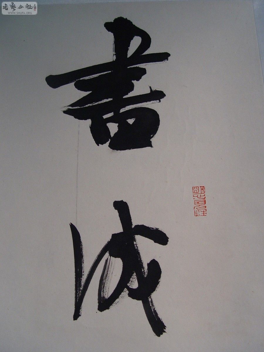 DSC07370.JPG