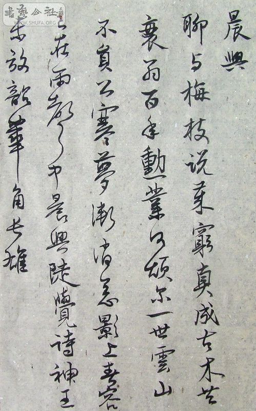DSCF9116.JPG