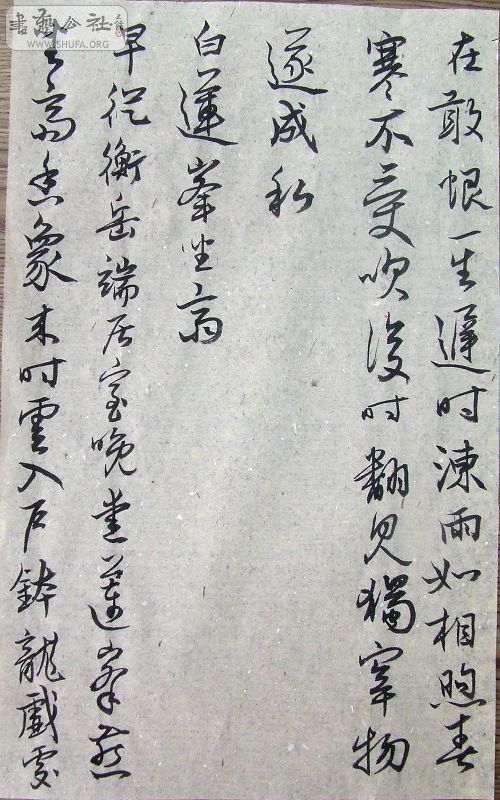DSCF9118.JPG
