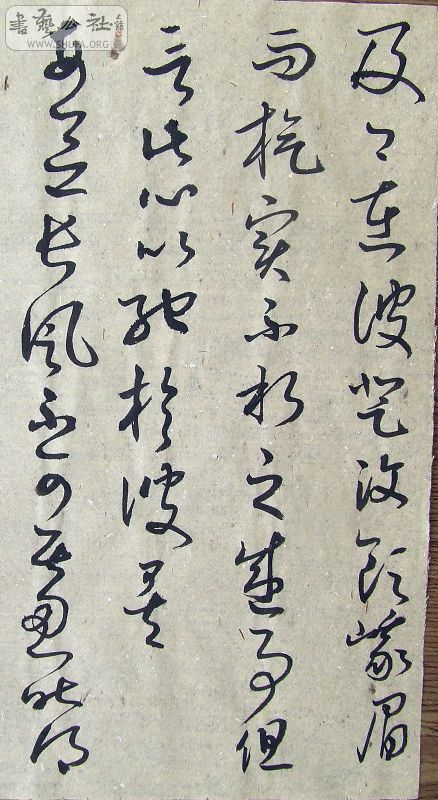DSCF9131.JPG