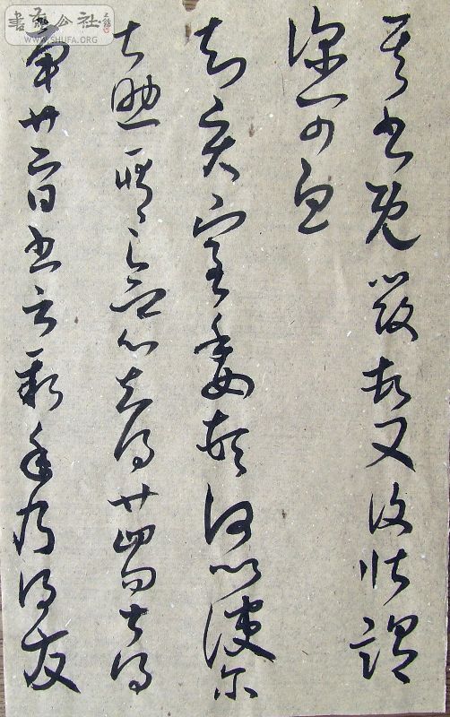 DSCF9130.JPG