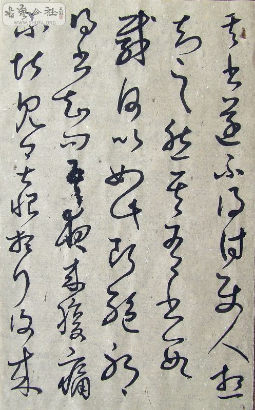 DSCF9128.JPG