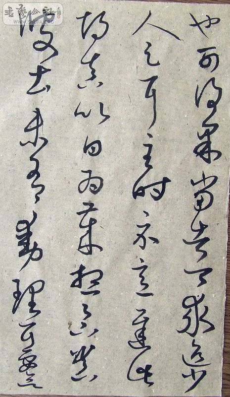 DSCF9132.JPG