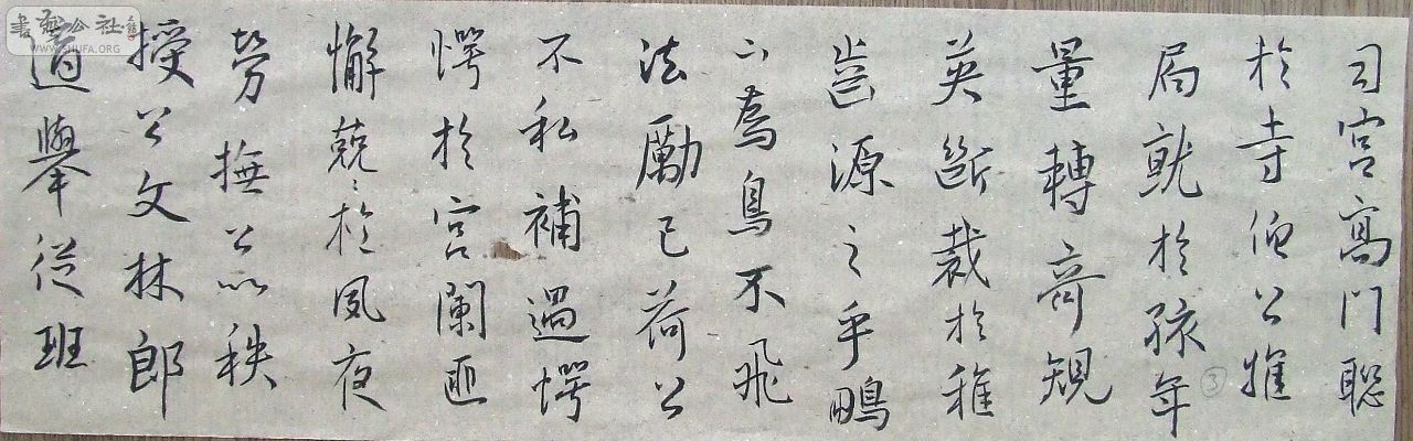 DSCF9138.JPG