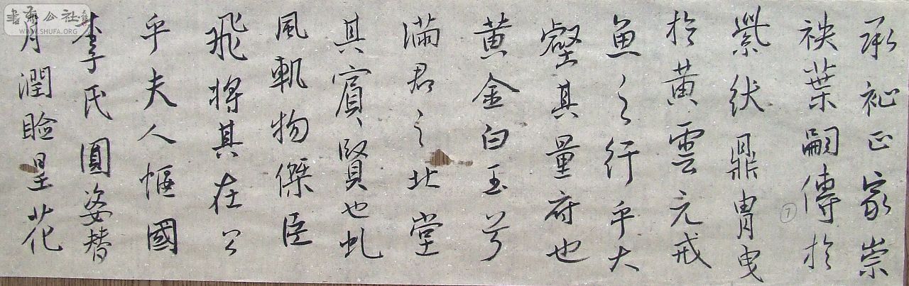 DSCF9142.JPG