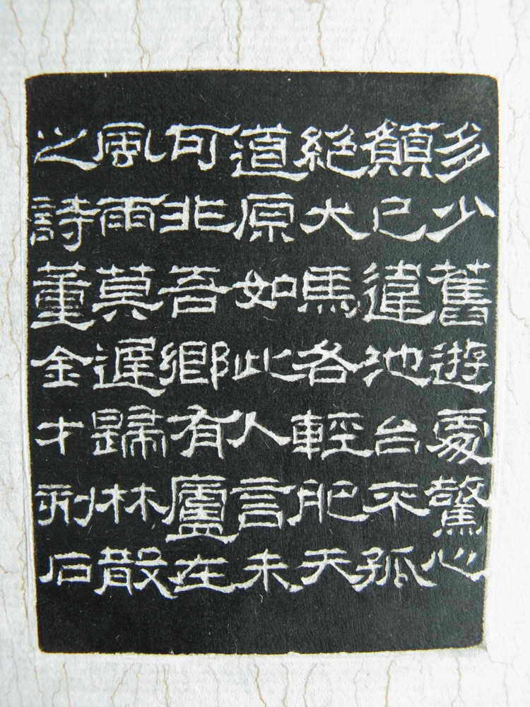 81.JPG