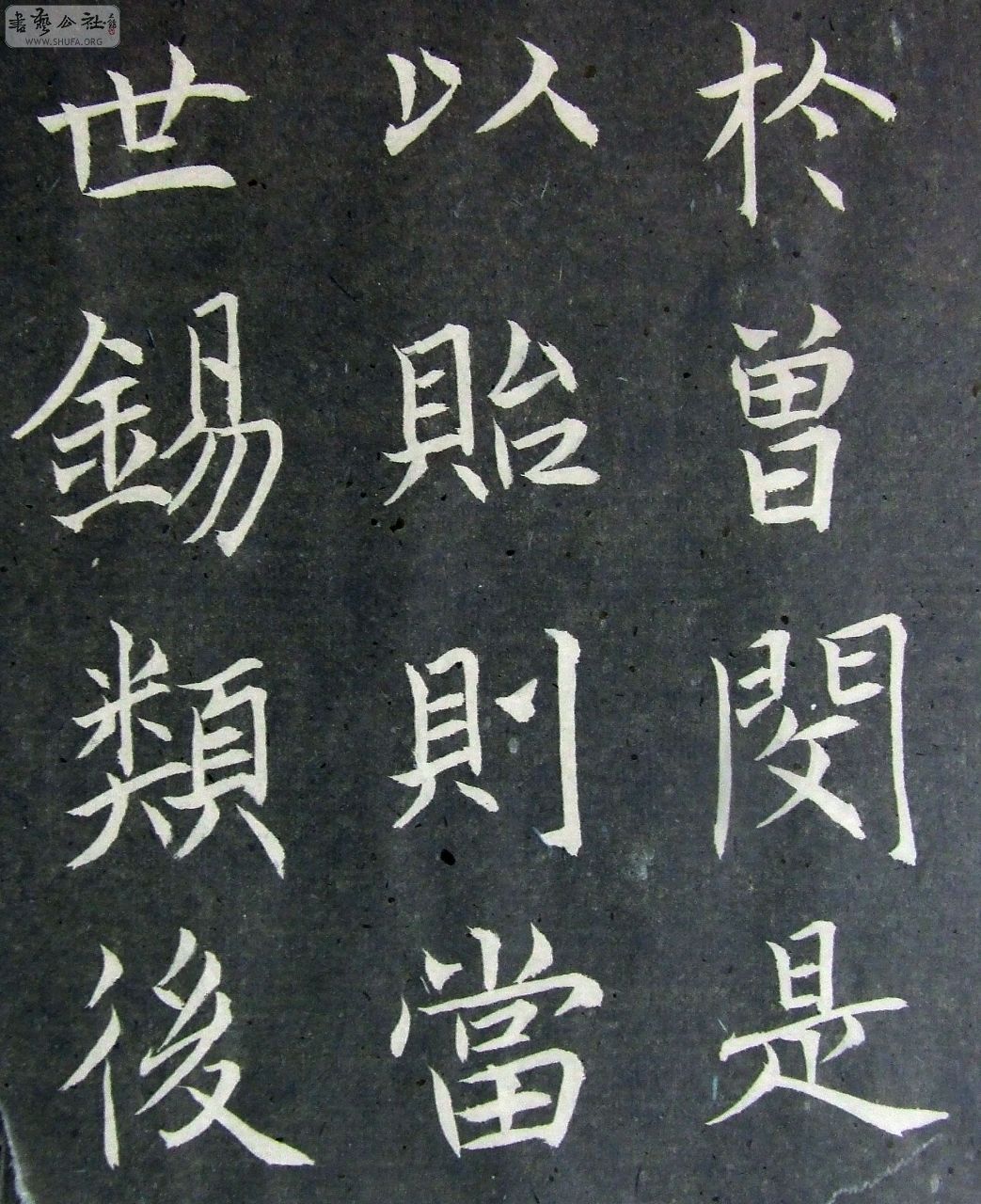 DSCF9186.JPG