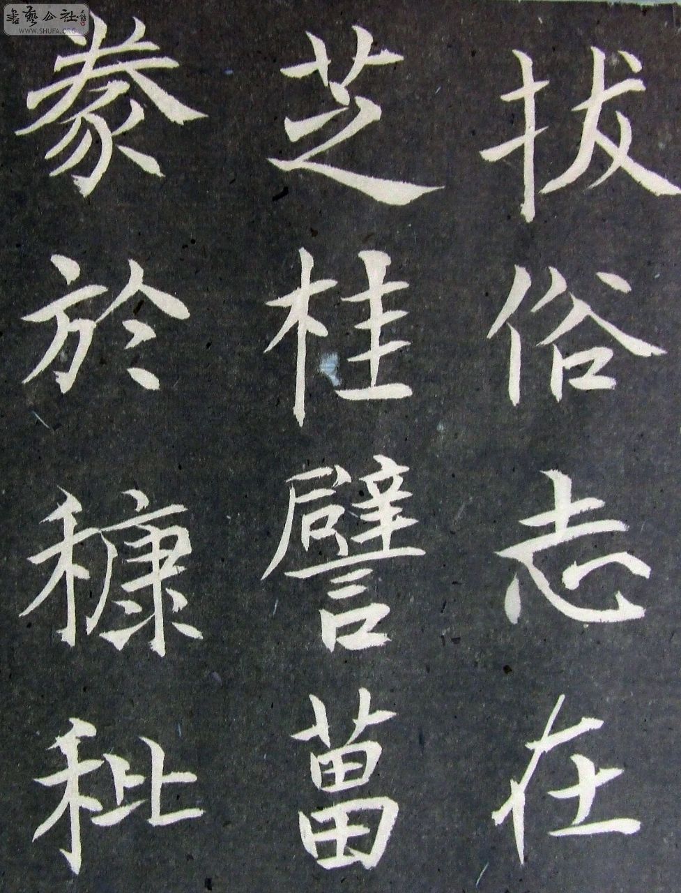 DSCF9190.JPG